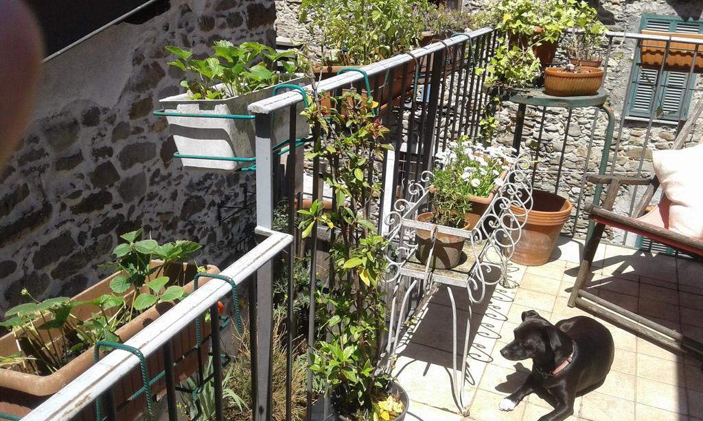 Casa Med Holiday Home Isolabona Exterior foto